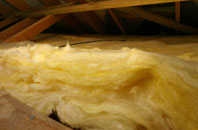 Meir pitch roof insulation